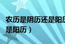 農歷是陰歷還是陽歷簡單理解（農歷是陰歷還是陽歷）