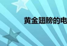 黃金翅膀的電視?。S金翅膀）