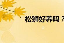 松獅好養(yǎng)嗎？松獅的保養(yǎng)方法