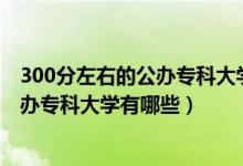 300分左右的公辦?？拼髮W全國（2022高考300分左右的公辦?？拼髮W有哪些）