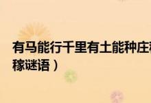 有馬能行千里有土能種莊稼講解（有馬能行千里有土能種莊稼謎語(yǔ)）