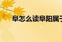 阜怎么讀阜陽屬于哪個?。ǜ吩趺醋x）