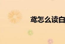鳶怎么讀白話(huà)（鳶怎么讀）
