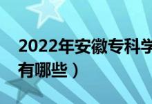 2022年安徽專(zhuān)科學(xué)校排名（最好的大專(zhuān)院校有哪些）