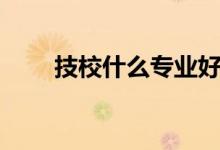 技校什么專業(yè)好（哪個(gè)專業(yè)最吃香）