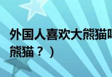 外國人喜歡大熊貓嗎（外國人到底有多喜歡大熊貓？）