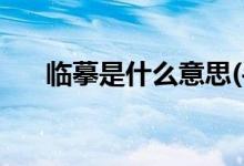 臨摹是什么意思(手繪初學(xué)者臨摹的畫(huà))