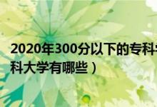 2020年300分以下的?？茖W校（2022年300分左右的公辦專科大學有哪些）