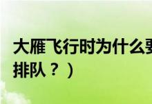 大雁飛行時為什么要排隊（大雁飛行時為啥要排隊？）