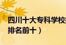 四川十大?？茖W(xué)校排名2022（高職高專院校排名前十）