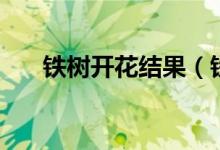 鐵樹開花結果（鐵樹開花是吉還是兇）