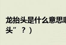 龍?zhí)ь^是什么意思?。ǘ露槭裁唇小褒?zhí)ь^”？）