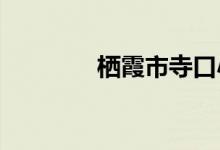 棲霞市寺口小學的地址在哪