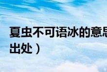 夏蟲不可語(yǔ)冰的意思（夏蟲不可語(yǔ)冰的意思及出處）