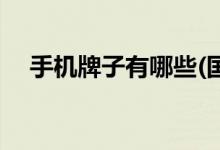 手機(jī)牌子有哪些(國產(chǎn)最暢銷手機(jī)排行榜)