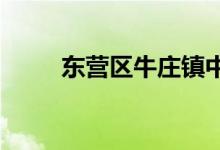東營區(qū)牛莊鎮(zhèn)中心小學(xué)的地址在哪