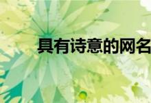 具有詩意的網(wǎng)名（詩意的古風網(wǎng)名）