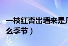 一枝紅杏出墻來是幾月（一枝紅杏出墻來是什么季節(jié)）