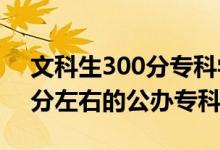 文科生300分?？茖W校（2022高考文科300分左右的公辦?？拼髮W）