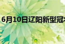 6月10日遼陽(yáng)新型冠狀病毒肺炎疫情最新消息