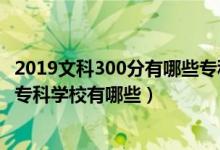 2019文科300分有哪些?？茖W(xué)校（2022高考文科300分公辦專科學(xué)校有哪些）