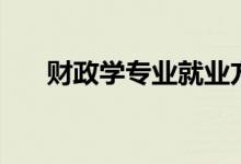 財(cái)政學(xué)專業(yè)就業(yè)方向（從事什么工作）