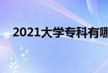 2021大學(xué)專(zhuān)科有哪些學(xué)校（哪些學(xué)校好）