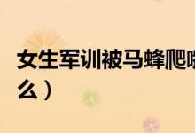 女生軍訓被馬蜂爬嘴一動不動（具體情況是什么）