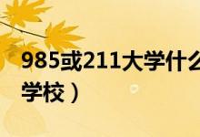 985或211大學什么意思（高等學校是指什么學校）