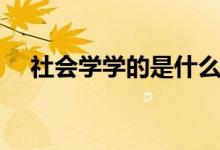 社會(huì)學(xué)學(xué)的是什么內(nèi)容（社會(huì)學(xué)學(xué)什么）