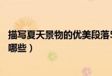 描寫(xiě)夏天景物的優(yōu)美段落50字（描寫(xiě)夏天景物的優(yōu)美段落有哪些）