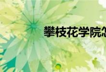 攀枝花學院怎么樣（好不好）