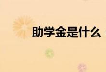 助學金是什么（怎么申請助學金）