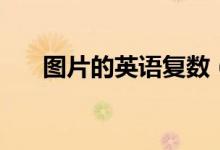 圖片的英語復數(shù)（圖片的英語怎么說）