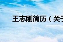 王志剛簡歷（關于王志剛簡歷的介紹）