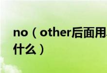 no（other后面用單數(shù)還是復數(shù) 具體用法是什么）