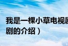 我是一棵小草電視?。P(guān)于我是一棵小草電視劇的介紹）