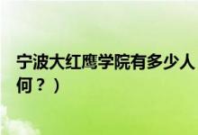 寧波大紅鷹學院有多少人（寧波大紅鷹學院怎么樣？評價如何？）