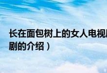 長在面包樹上的女人電視?。P(guān)于長在面包樹上的女人電視劇的介紹）