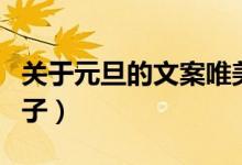 關于元旦的文案唯美（適合朋友圈發(fā)的簡短句子）