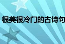 很美很冷門(mén)的古詩(shī)句（美到窒息的古典詩(shī)句）