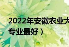 2022年安徽農(nóng)業(yè)大學專業(yè)排名及介紹（哪些專業(yè)最好）