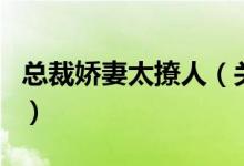 總裁嬌妻太撩人（關于總裁嬌妻太撩人的介紹）