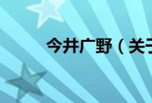 今井廣野（關于今井廣野的介紹）