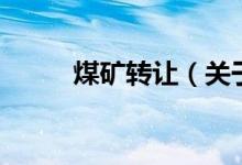 煤礦轉讓（關于煤礦轉讓的介紹）