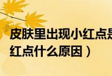皮膚里出現(xiàn)小紅點是怎么回事(皮膚上面有小紅點什么原因)