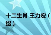 十二生肖 王力宏（關于十二生肖 王力宏的介紹）