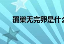 覆巢無(wú)完卵是什么意思（覆巢無(wú)完卵）