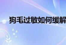 狗毛過(guò)敏如何緩解（狗毛過(guò)敏如何防護(hù)）