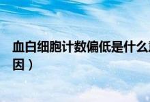 血白細(xì)胞計數(shù)偏低是什么意思（血白細(xì)胞計數(shù)偏低是什么原因）